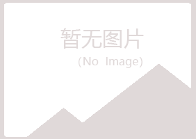 偃师如柏工程有限公司